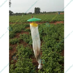 Phero Sensor SP Insect Trap for Agriculture Purposes(Pack-10 Pcs)